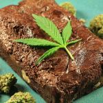 cannabis brownies beginner's guide