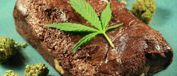 cannabis brownies beginner's guide