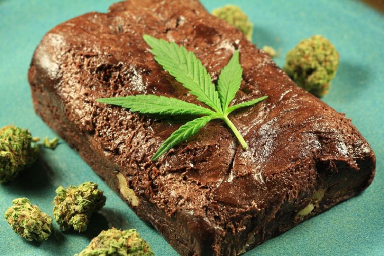 cannabis brownies beginner's guide