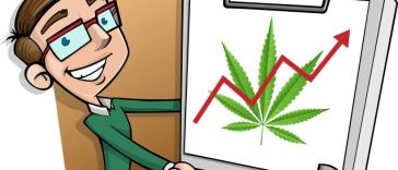 cannabis strategy