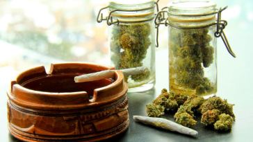 cbd flower