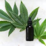 cbd tincture