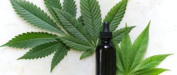 cbd tincture
