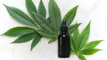 cbd tincture