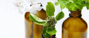 essential oil