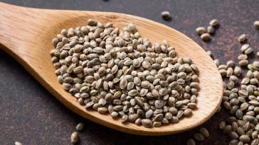 cbd hemp seeds