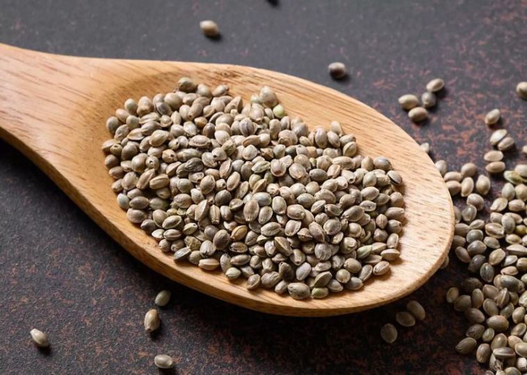 cbd hemp seeds
