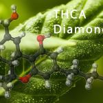 thca diamonds