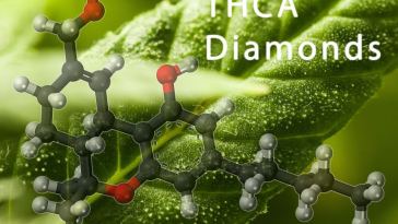 thca diamonds