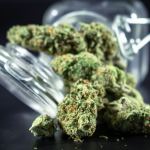 weed delivery