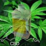 cbd extraction process