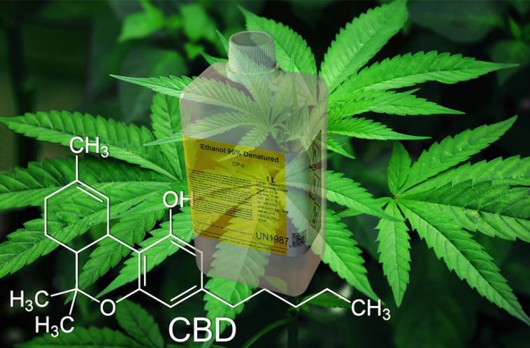 cbd extraction process