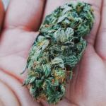 delta 8 thc flower