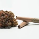 best wintertime weed strains