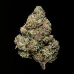 the-strains-that-made-floracal-farms