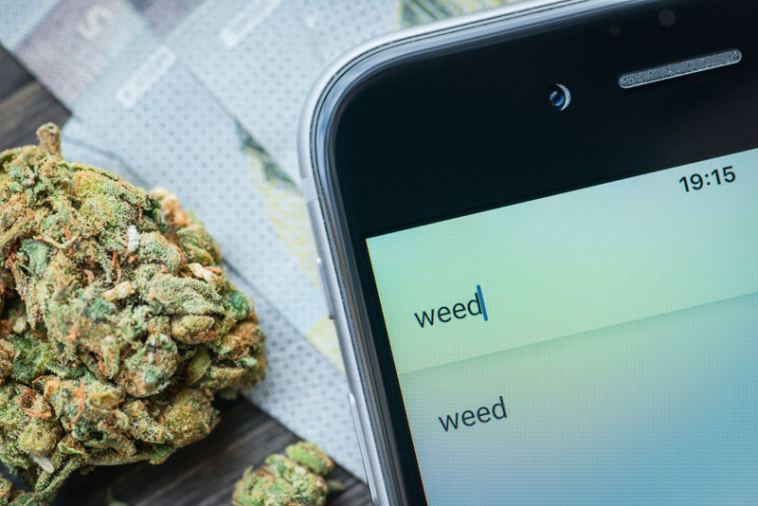 cannabis local seo