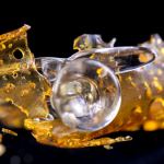 cannabis concentrate