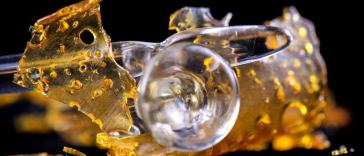 cannabis concentrate