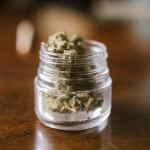 cannabis in jar