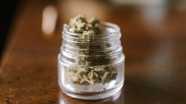 cannabis in jar
