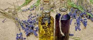 top 5 herbs