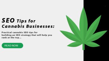 cannabis seo tips