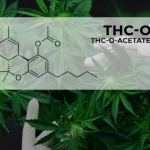 thc o acetate