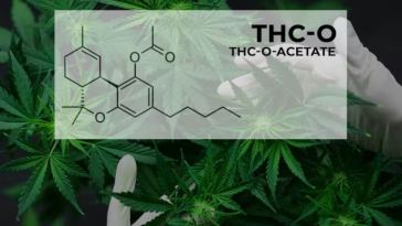 thc o acetate