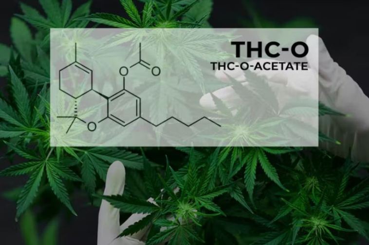thc o acetate