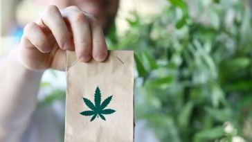 Perks of Buying Weed Online