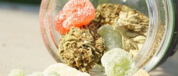 cannabis gummies for anxiety and stress