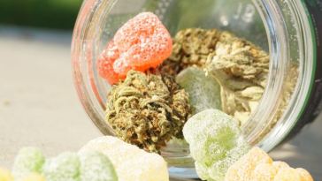 cannabis gummies for anxiety and stress