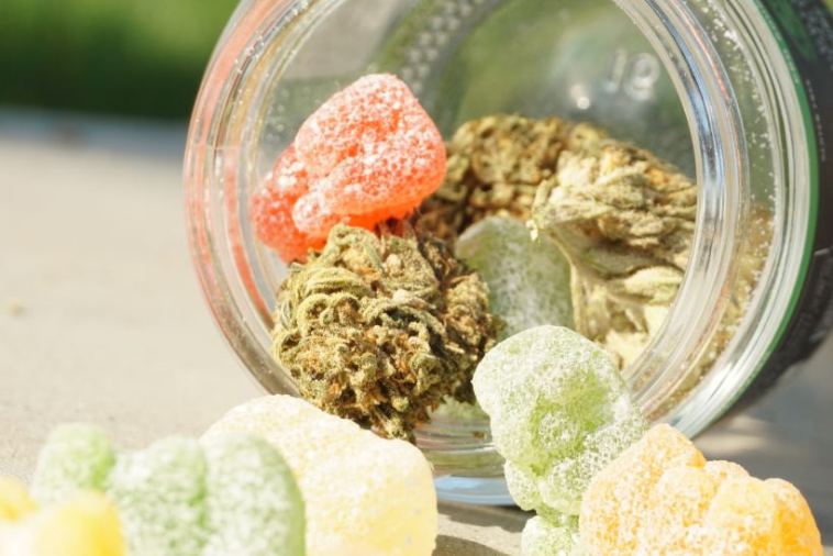 cannabis gummies for anxiety and stress