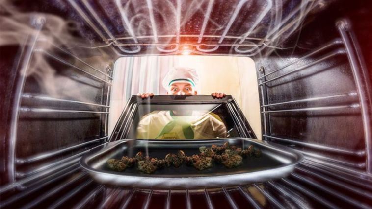 best toaster oven for decarboxylation