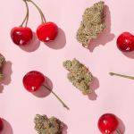 cherry-weed-strains:-6-cherry-flavored-weed-strains-for-a-mouth-watering-smoke