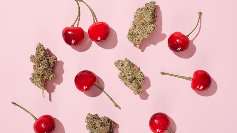 cherry-weed-strains:-6-cherry-flavored-weed-strains-for-a-mouth-watering-smoke