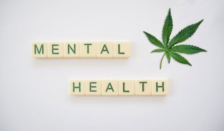 mental health and cbd