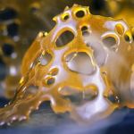 cannabis shatter
