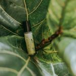 cbd for health