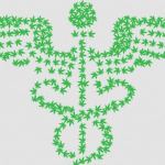 medicinal cannabis