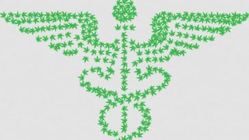 medicinal cannabis