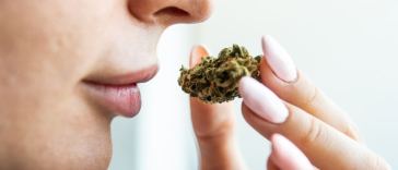 woman smelling weed