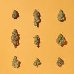 8-delicious-peanut-butter-weed-strains