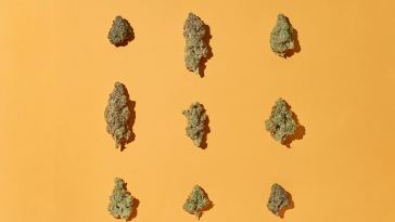 8-delicious-peanut-butter-weed-strains