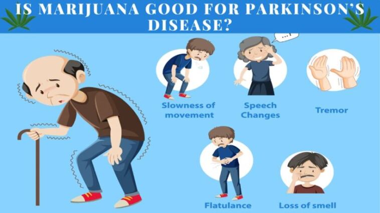 marijuana for parkinsons