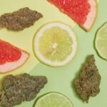 the-8-best-diesel-strains