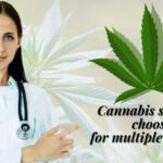 best cannabis strains for multiple sclerosis