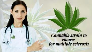 best cannabis strains for multiple sclerosis