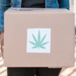 cannabis delivery