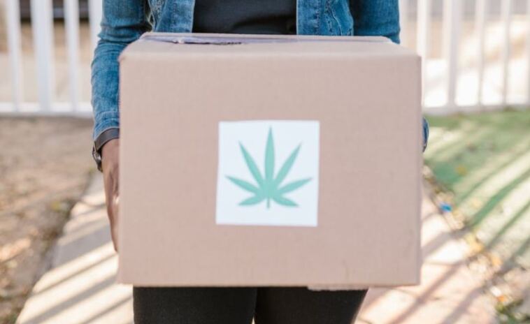 cannabis delivery